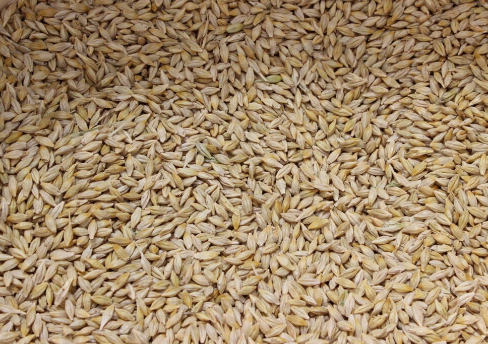 September Small Grains and Stocks Reports