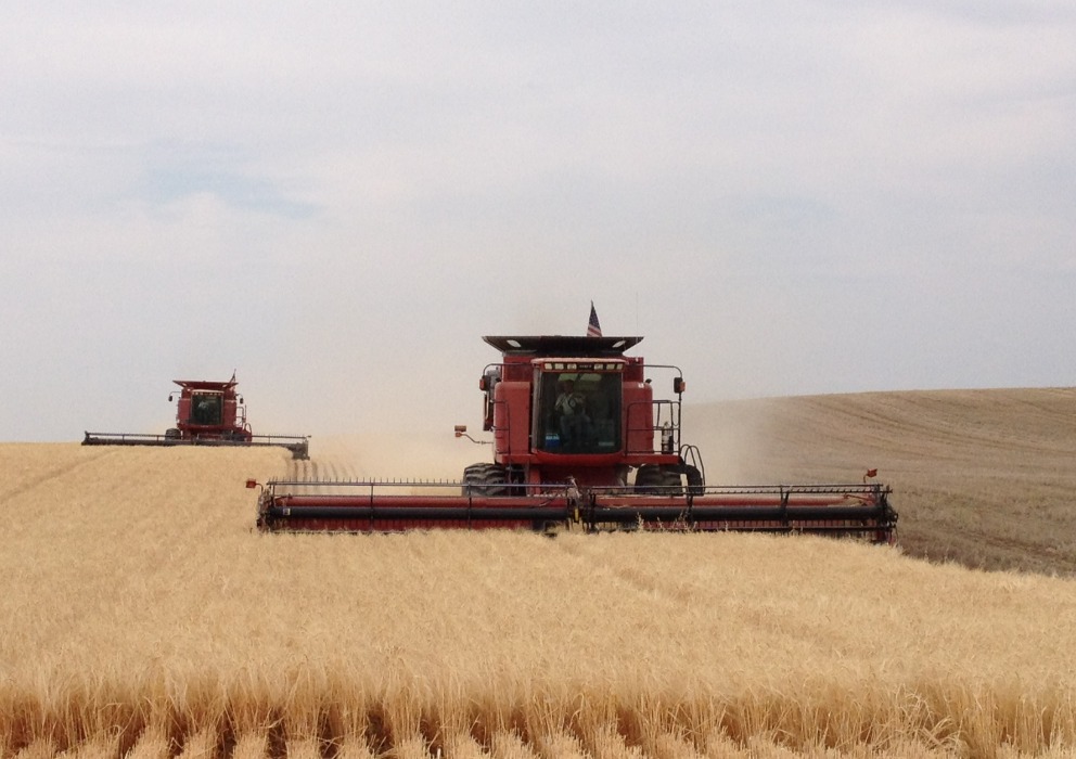 Recording: Understanding Crop Insurance webinar