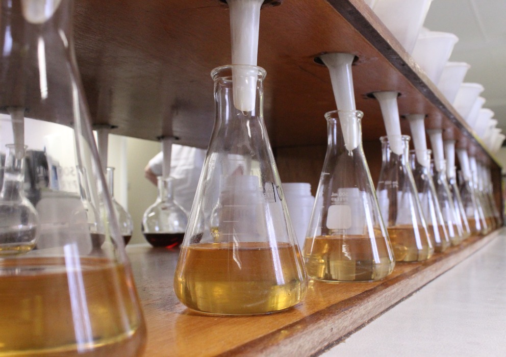 Impact of federal terminations to barley research