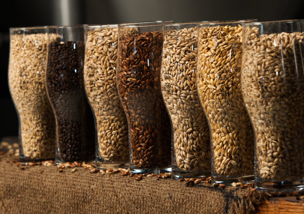 Bipartisan House Small Brewers Caucus champions barley research