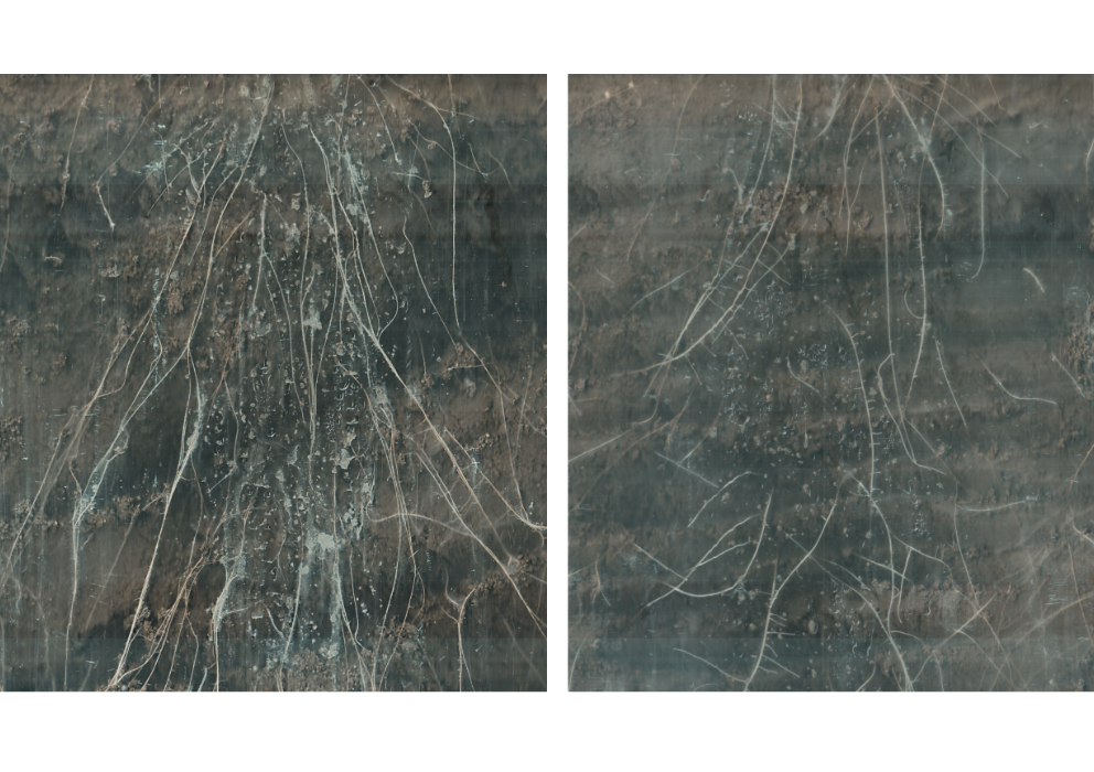 To stay green, or not to stay green, that is the question 