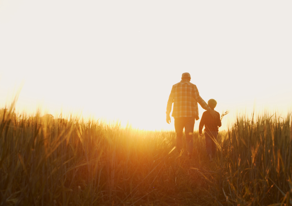 U.S. barley industry publishes first ground truthed emissions baseline report